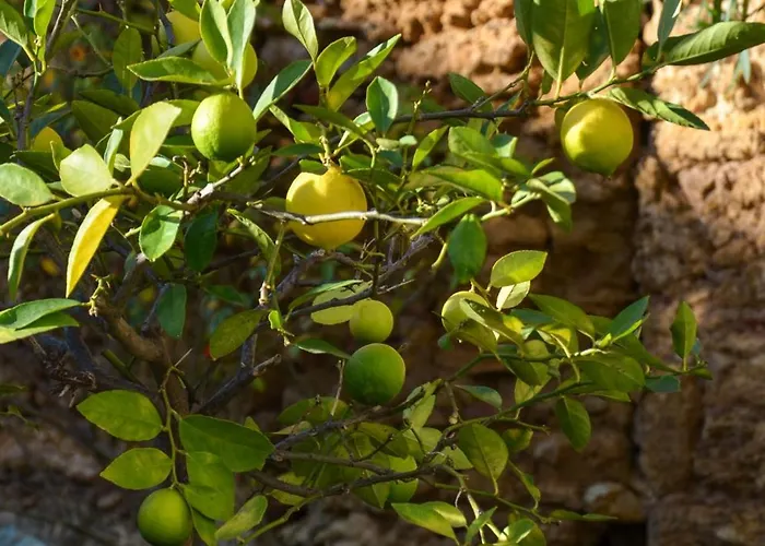 La Maison D'augustin 3*